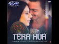 Tera Hua (From "Loveyatri")