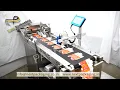 High speed Batch coding system Friction Feeder for mono cartons - Inkjet mrp date printing machine