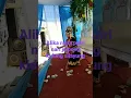 Download Lagu Seni sunda jaipong kidung silayung