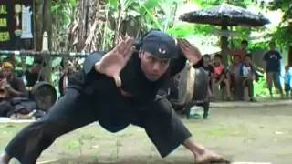 cimande macan guling jurus