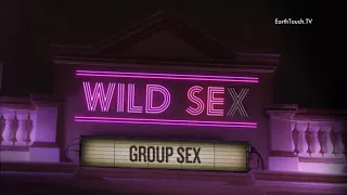 wild sex group sex sex orgy or you may call it swingers all in all videos 