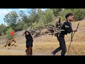 Download Lagu How do nomads collect firewood for their winter (fight with a wild leopard)😱
