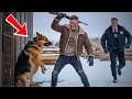 Download Lagu Petugas Menemukan Anjing Gembala Jerman Hamil yang Disiksa dalam Badai Salju — Apa yang Terjadi Selanjutnya Menghangatkan Hati