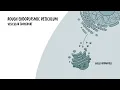 Endoplasmic Reticulum