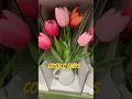 Download Lagu New atCostco #flowers #bucketflower #bucket #flower #costco #costcofinds #newshorts #fypシ゚viral #fyp