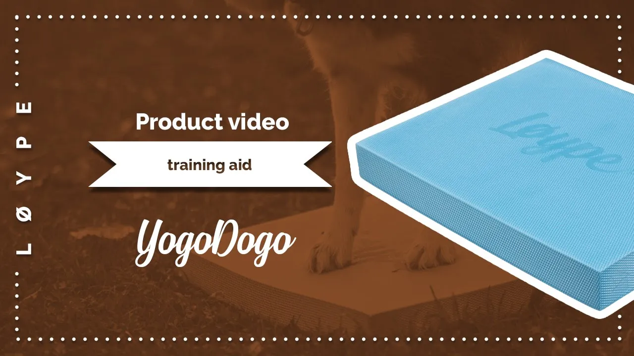 YogoDoggo Foam Target