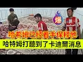 Download Lagu 哈特姆打听到了卡迪尔的消息，哈希姆已经着手保释他。伊朗女人米娜纪录片最新后续