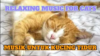 musik kucing tidur u0026 tenang relaxing music for cats