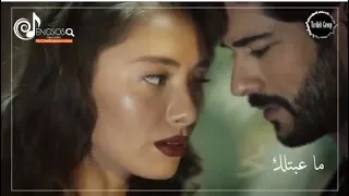 كرهني   اليسا   كمال ونيهان دندنها