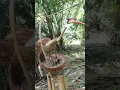 Kerajinan Bambu Kreatif