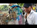 Pasar Burung Petekan Surabaya tiada duanya.