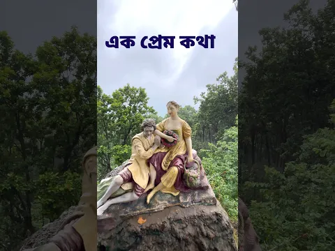 নেতারহাট Magnolia Sunset point shorts #shorts my travel support