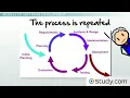 Systems development life cycles software development process