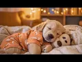 12 Hours Dog Calming Music Dog Anxiety Music - Dog Healing Soundscape For Stress Reduction