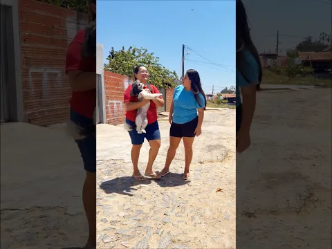 Levou o cachorrinho pro avião ✈️ #viralvideo #shorts