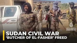 RSF Fighter Abu Lulu Accused Of Atrocities In Sudan S El Fasher Freed 