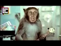 The Prodigy vs House Of Pain vs Basement Jaxx Breathing in Pain RUINMYTUNE MashUp