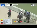 Gulfstream Park July 25 2026 Race 3