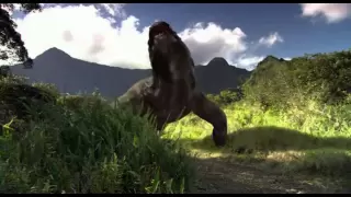 komodo vs cobra clip avi