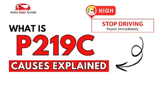 What is P219C Engine Error Code Causes Explained