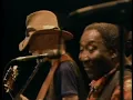 Muddy Waters - Going Down Slow - ChicagoFest 1981