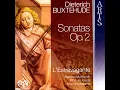 Sonata V in A Major BuxWV 263: Concitato