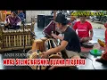 Download Lagu LATIHAN MARS SELING KRISHNA BUANA