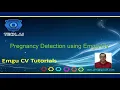 EmguCV 74 Detect Pregnancy Test Results using EmguCV