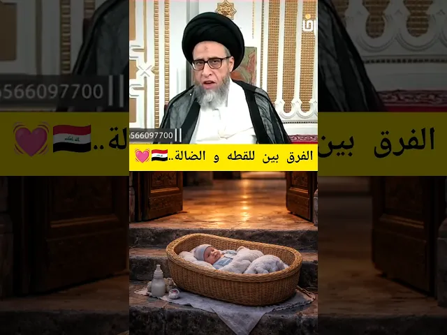 ⁣الفرق بين للقطه الضالة لقطه سيد صباح شبر