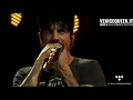 Download Lagu Red Hot Chili Peppers - Live Meadows Music Festival (New York, 17/09/17) [FULL LIVE]