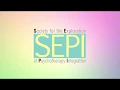 Lagu SEPI Presentation Video