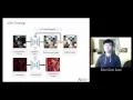 Introduction to Autoencoders Deep Learning LLNet
