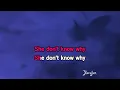 Dog & Butterfly - Heart (band) | Karaoke Version | KaraFun