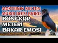 Download Lagu masteran murai batu rampes juara 1