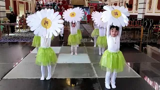 الاستعراض الجميل اللى خطف عيون الحاضرين فتحى يا وردة 