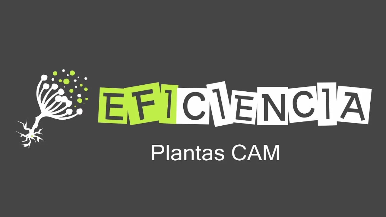 FOTOSÍNTESIS: PLANTAS CAM. PEPCA noche - RUBISCO día