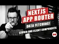 NextJS App router API Data Fetching in Server Client Components