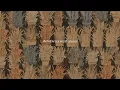 Iron and Wine - Autumn Town Leaves (Instrumental)