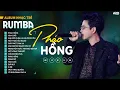 Download Lagu PHÁO HỒNG, HOA CƯỚI RUMBA 🎧NHẠC RUMBA ĐẠT LONG VINH🎧ALBUM RUMBA NHẠC TRẺ HOT NHẤT 2024