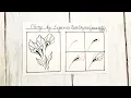 Download Lagu FLORY BY JANE ASTROART || ZENTANGLE