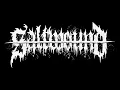 Saltwound - Spencer Timmons