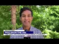 Pollen In the Air Allergy Shots Sublinguals