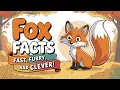 Why Do Foxes Have Bushy Tails Fox Facts for Kids