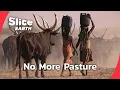 How the Sahel Is Closing In on Nomadic Cattle Herders SLICE EARTH FULL DOC