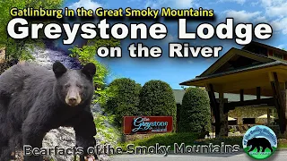 Greystone Lodge on the River A Historic Retreat in the Heart of Smoky Mountains on Gatlinburg