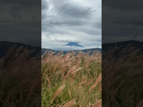 Mt. Fuji 📍