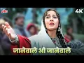 Download Lagu Janewale O Janewale 4K | जानेवाले ओ जानेवाले | Heena Songs | Suresh Wadkar, Lata Mangeshkar |Rishi K