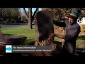 Take Care of Your Yard Waste in Osseo