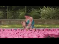 Download Lagu Johnny Stimson - Pink Lemonade (Official Music Video)