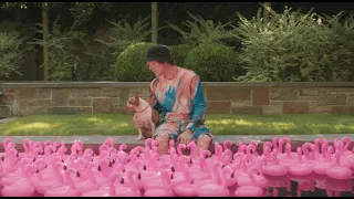 Johnny Stimson Pink Lemonade Official Music Video 